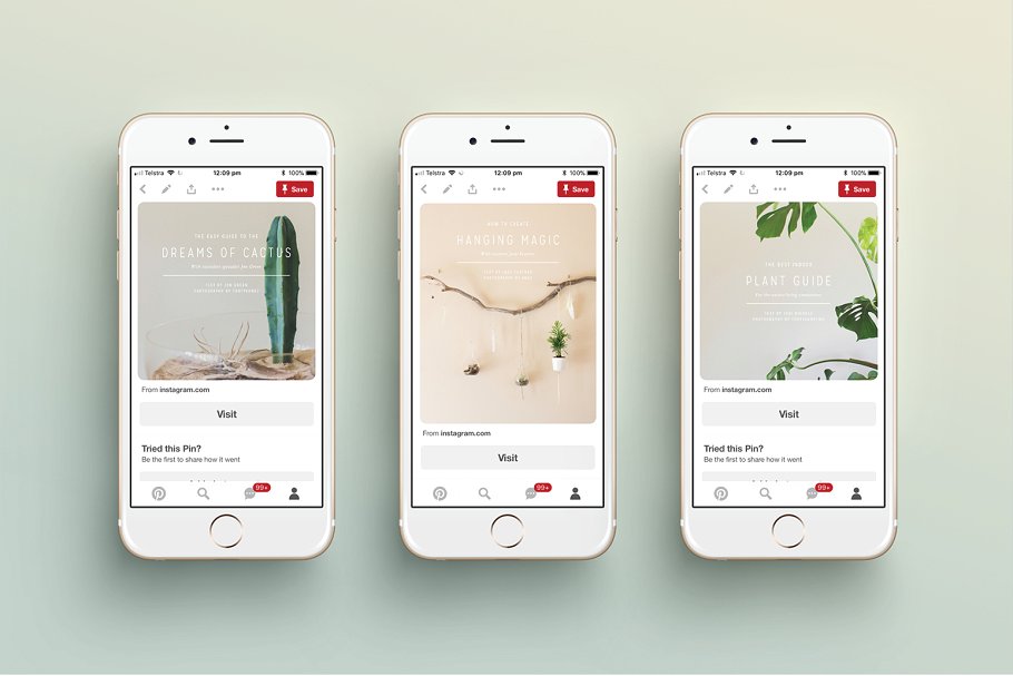 植物盆栽主题社交媒体贴图模板素材库精选[Pinterest版本] NATURALIS Pinterest Pack插图(4)