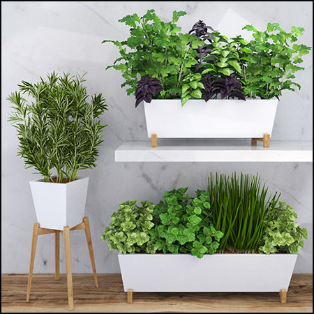 绿色植物小葱等盆栽素材之家精选3D模型