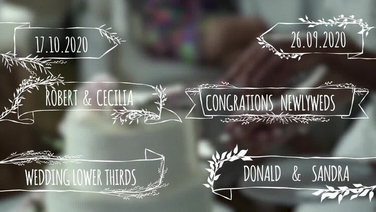 现代精美的手绘婚礼标题素材库精选AE模板