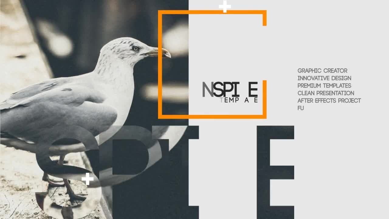 外观独特的简报素材库精选AE模板