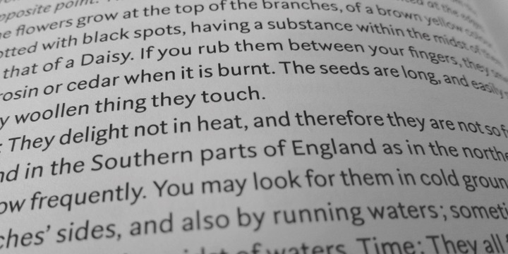 Rubiesque Font Family插图3