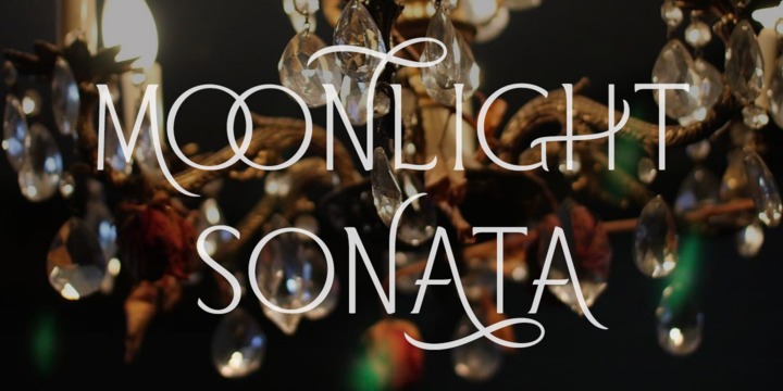 Harlan Font Family插图1