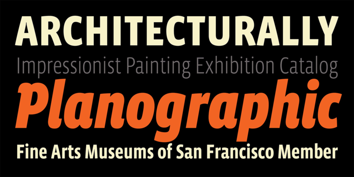 Vista Sans Narrow Font Family插图1