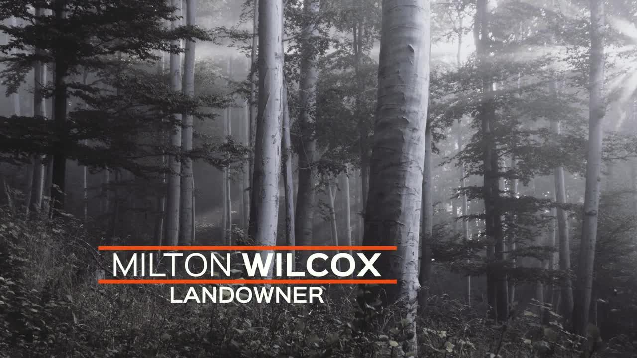 30种下三分之一动画标题素材库精选AE模板