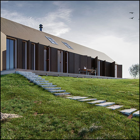 11种花园公园草坪野草小草素材之家精选3D模型