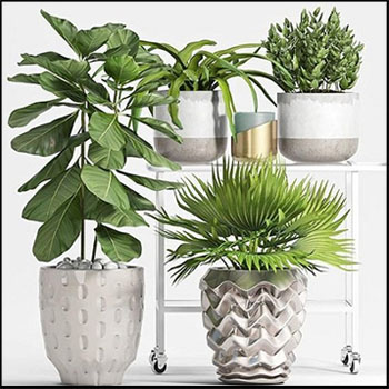 绿色花卉植物组合素材之家精选3D模型