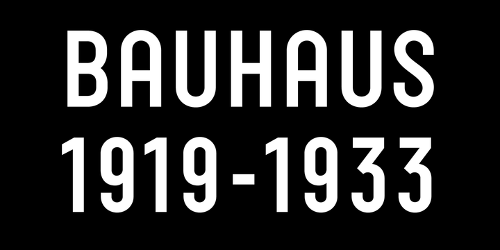 Neubau Pro Font Family插图1