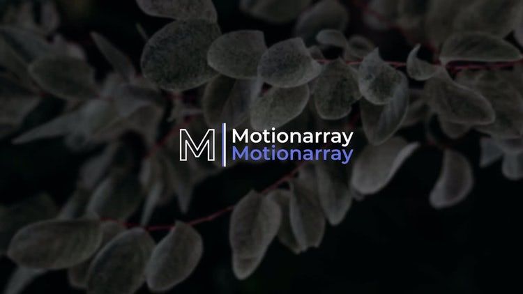 12个简洁且动态动画的文本动画ae模板