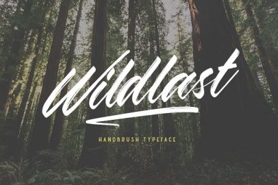 Wildlast Handbrush Typeface素材之家精选英文字体