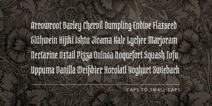 Brilliance Font Family插图5