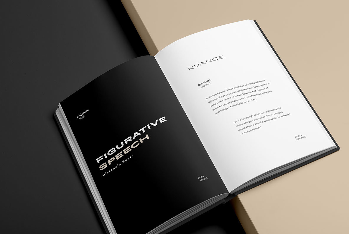 Distancia Font Family插图6