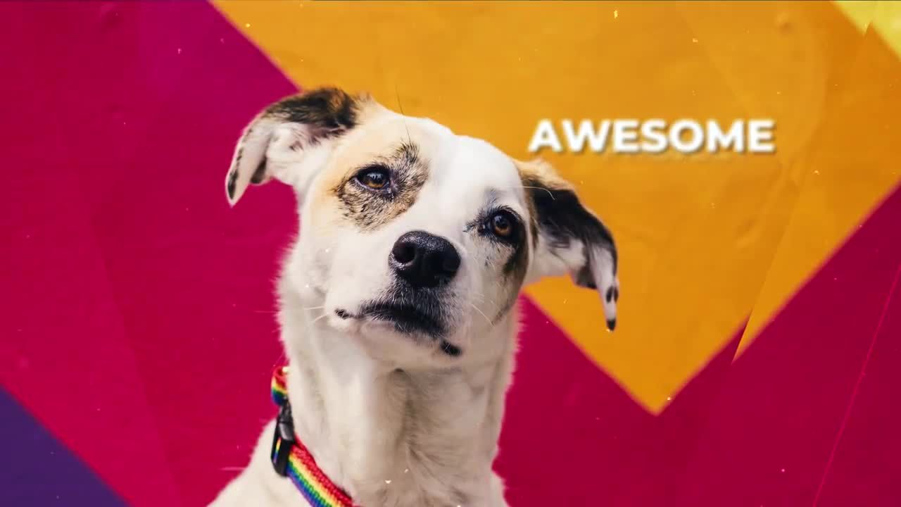 简洁独特时尚幻灯片素材库精选PR图文模板