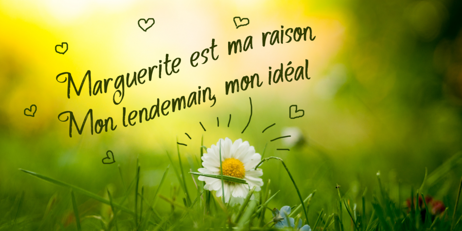 Route Du Soleil Font Family插图3