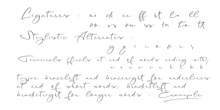 Long Night Font插图2