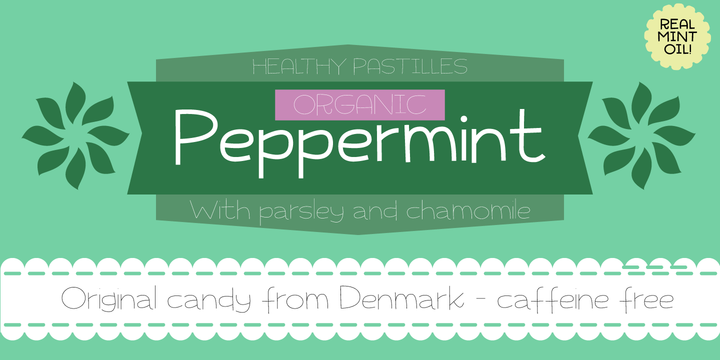 Charly Font Family插图1