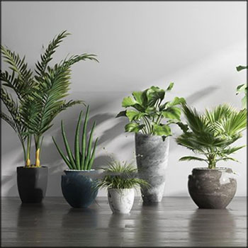 现在盆栽绿色植物盆景素材之家精选3D模型