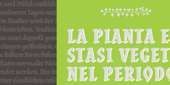 JAF Herb Font Family素材之家精选英文字体