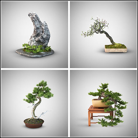 5款迎客松梨花假山松树盆景素材之家精选3D模型