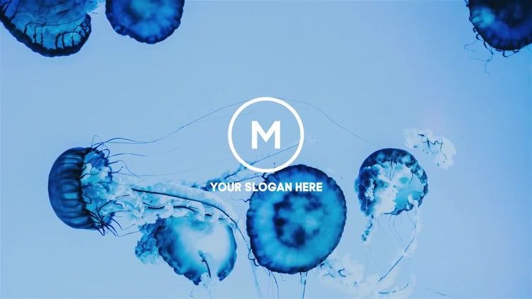 创意的新产品照片徽标展示ae模板