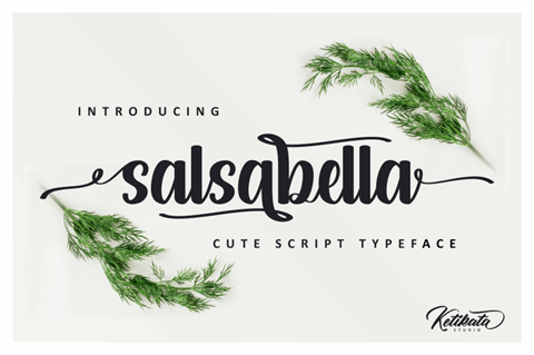 salsabella Personal Use Only font素材之家精选英文字体