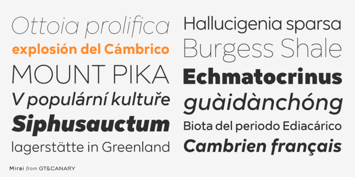 Mirai Font Family插图1