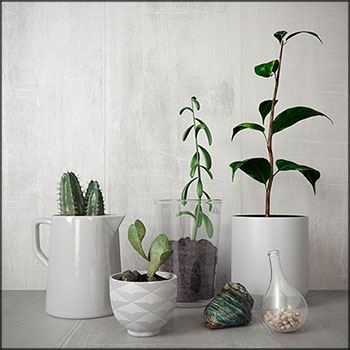 瓷器花盆绿色植物盆栽素材之家精选3D模型