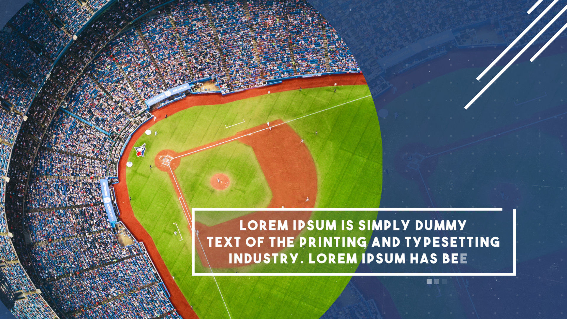 简单产品介绍平滑文本幻灯片素材库精选AE模板