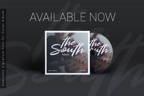 Ray Signature Font插图3