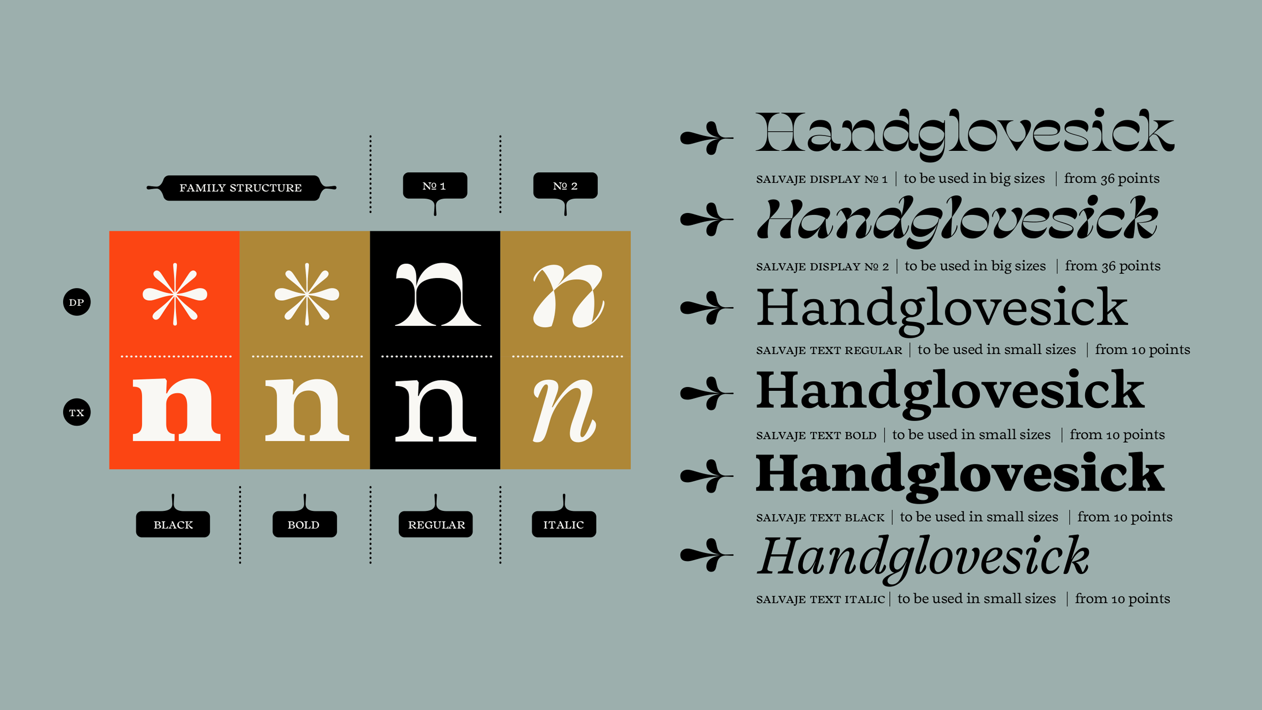 Salvaje Display Font Family插图3