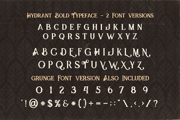 复古风格衬线英文字体合集下载 5 Fonts Bundle 4插图(9)