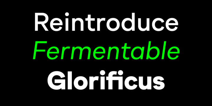 Gramatika Font Family插图1