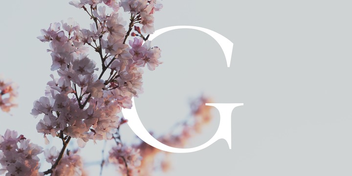 Velour Font Family – 6 Fonts插图2