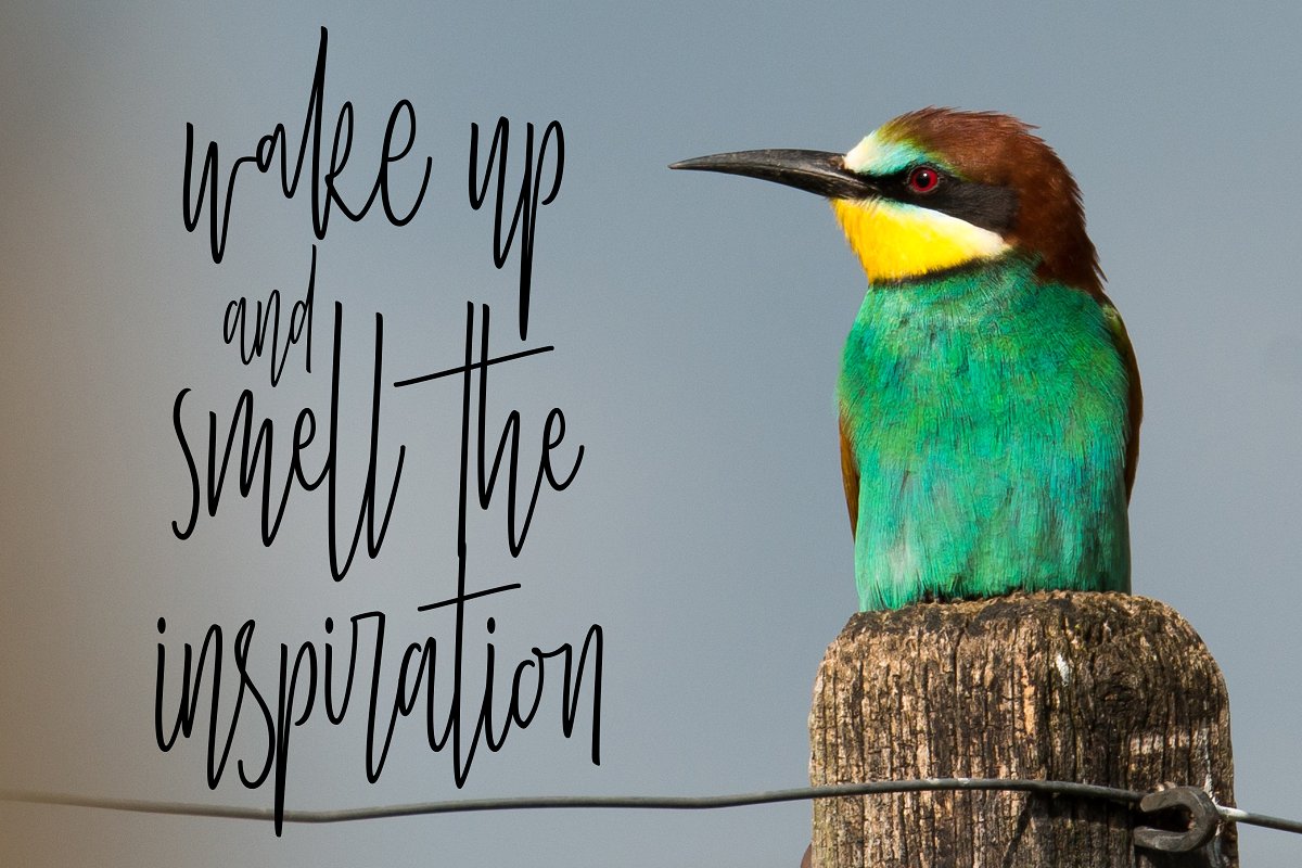 Stay Cool Font插图4