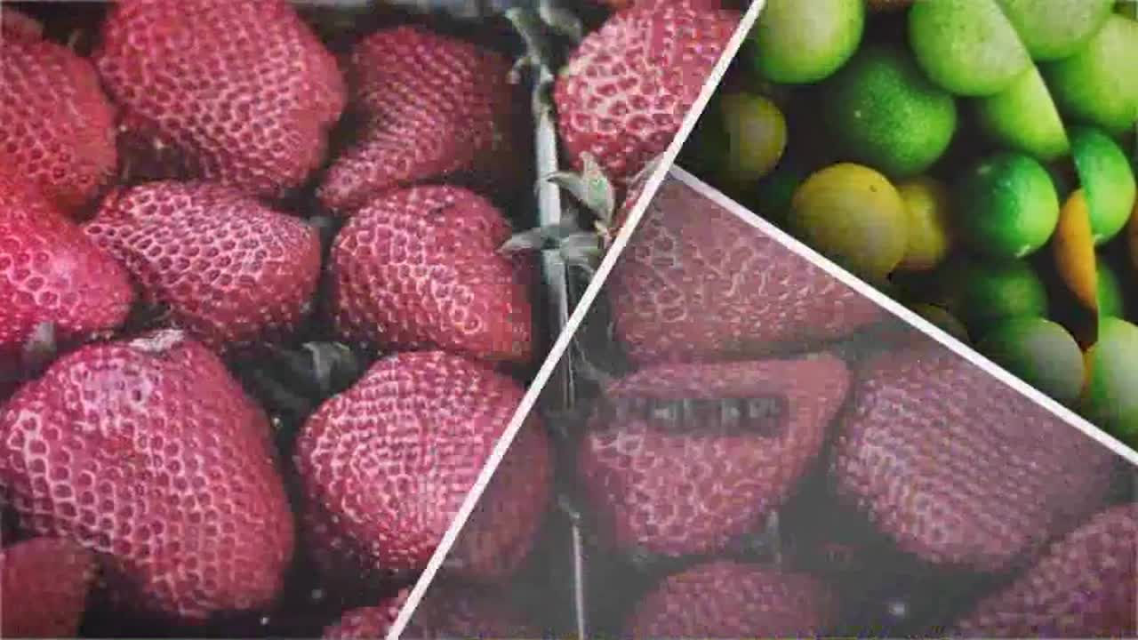 鼓舞人心的幻灯片素材库精选AE模板