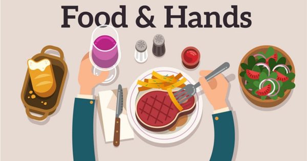 食物&amp;手创意动画视频素材库精选AE模板 Food &amp; Hands Explainer