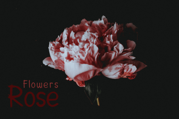 AnotherScream font插图6