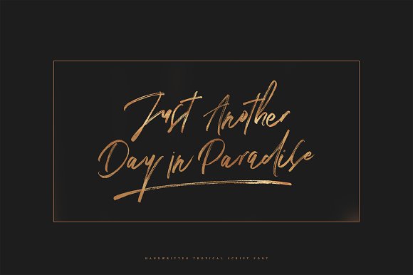 Tropical Font插图4