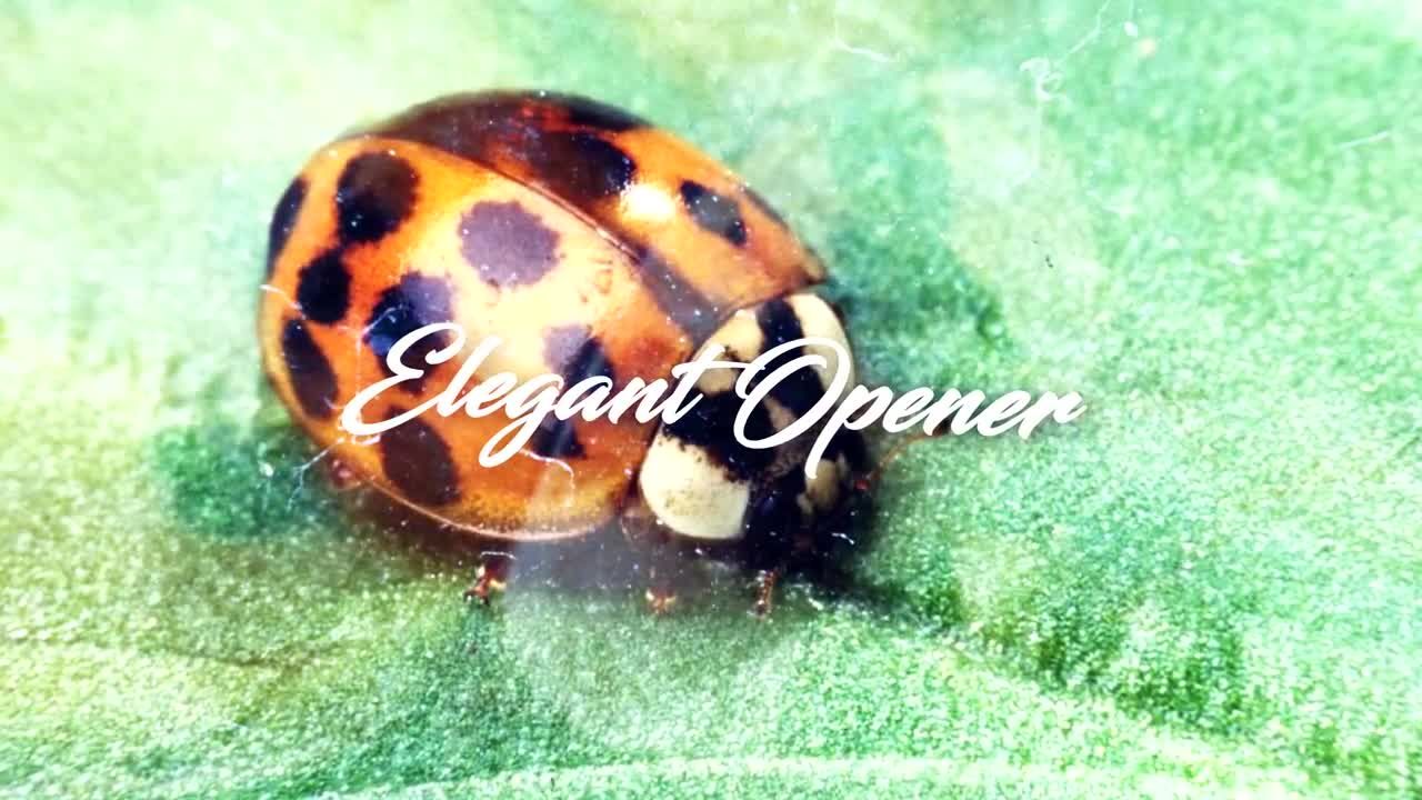 优雅的视频或照片转场素材库精选AE模板