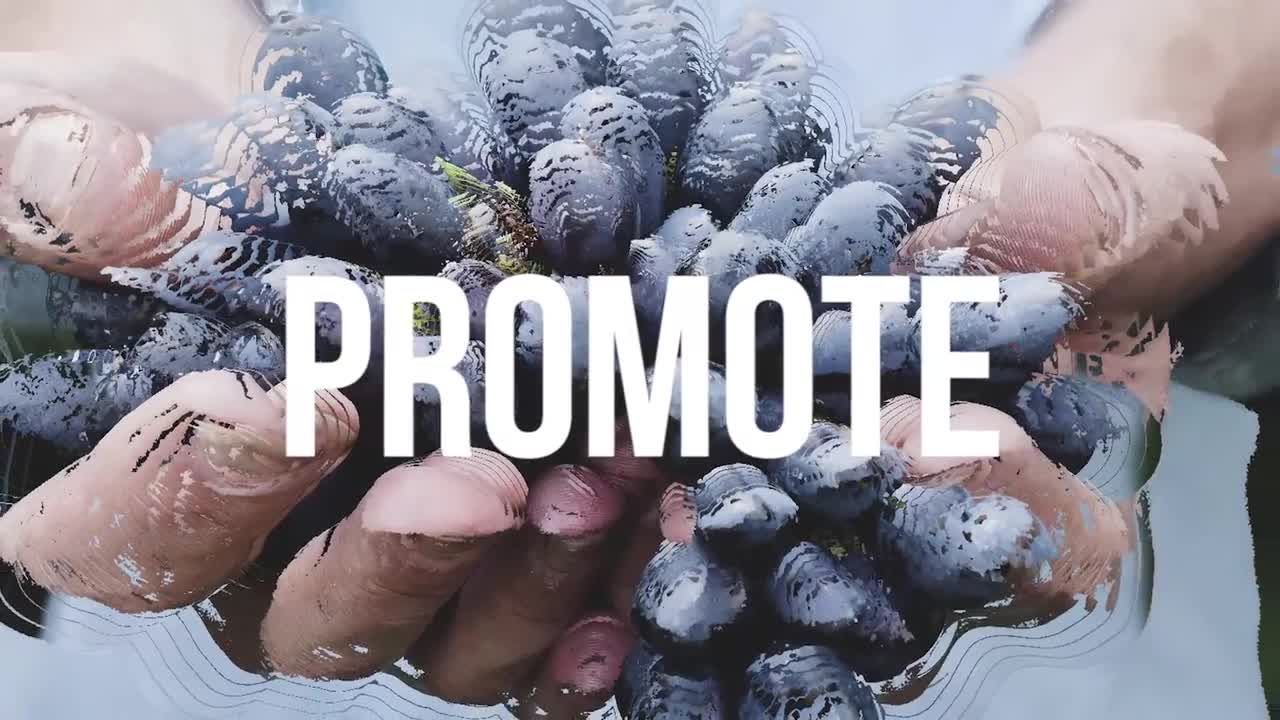 30个场景空间感快闪视频片头素材库推荐PR模板