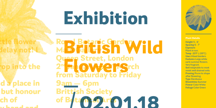 Laca Text Font Family插图1