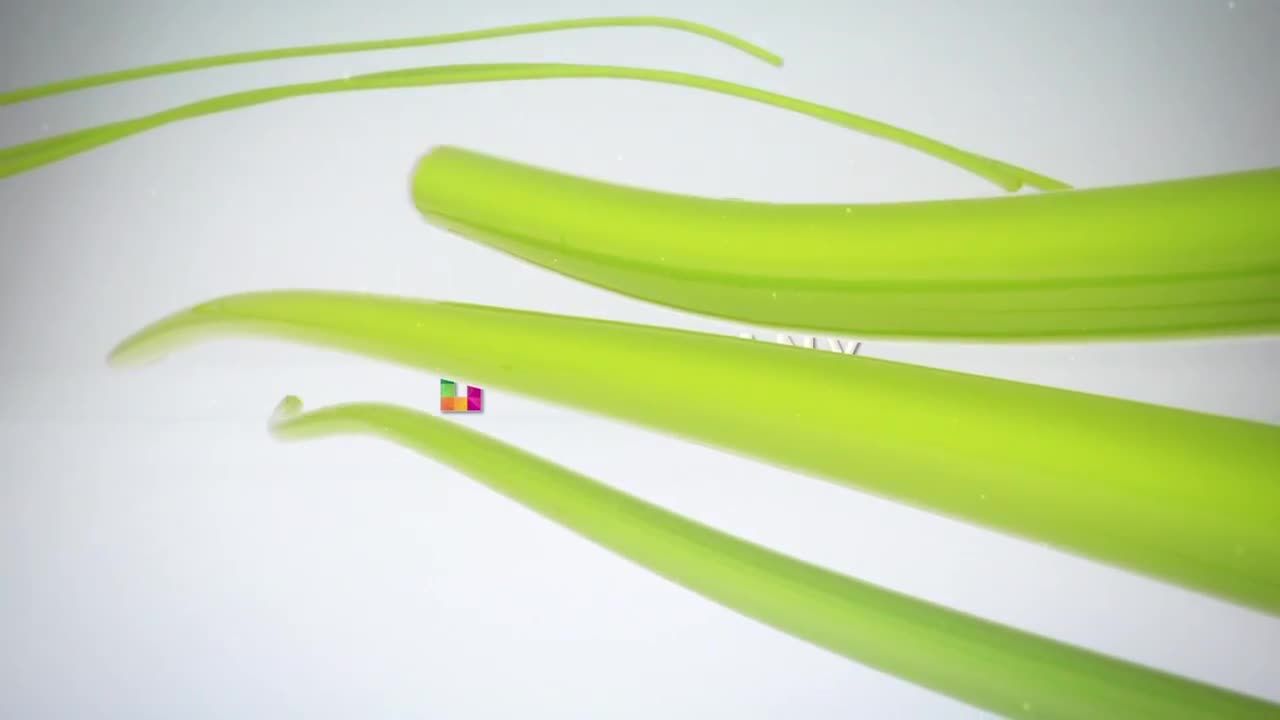 条纹和色带徽标显示素材库推荐PR模板