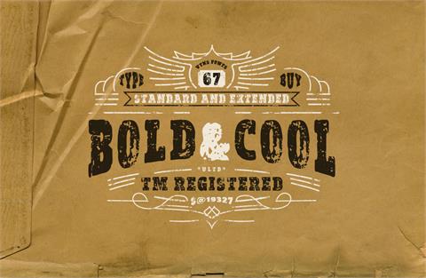 vtks Bold&amp;Cool font素材之家精选英文字体