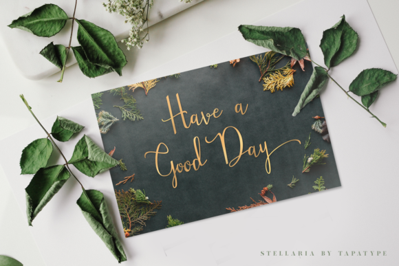 Stellaria Font插图2