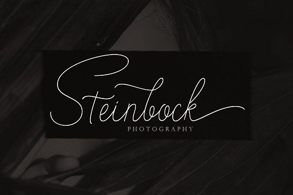 Stayreed Font插图5