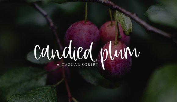 Candied Plum Font素材之家精选英文字体
