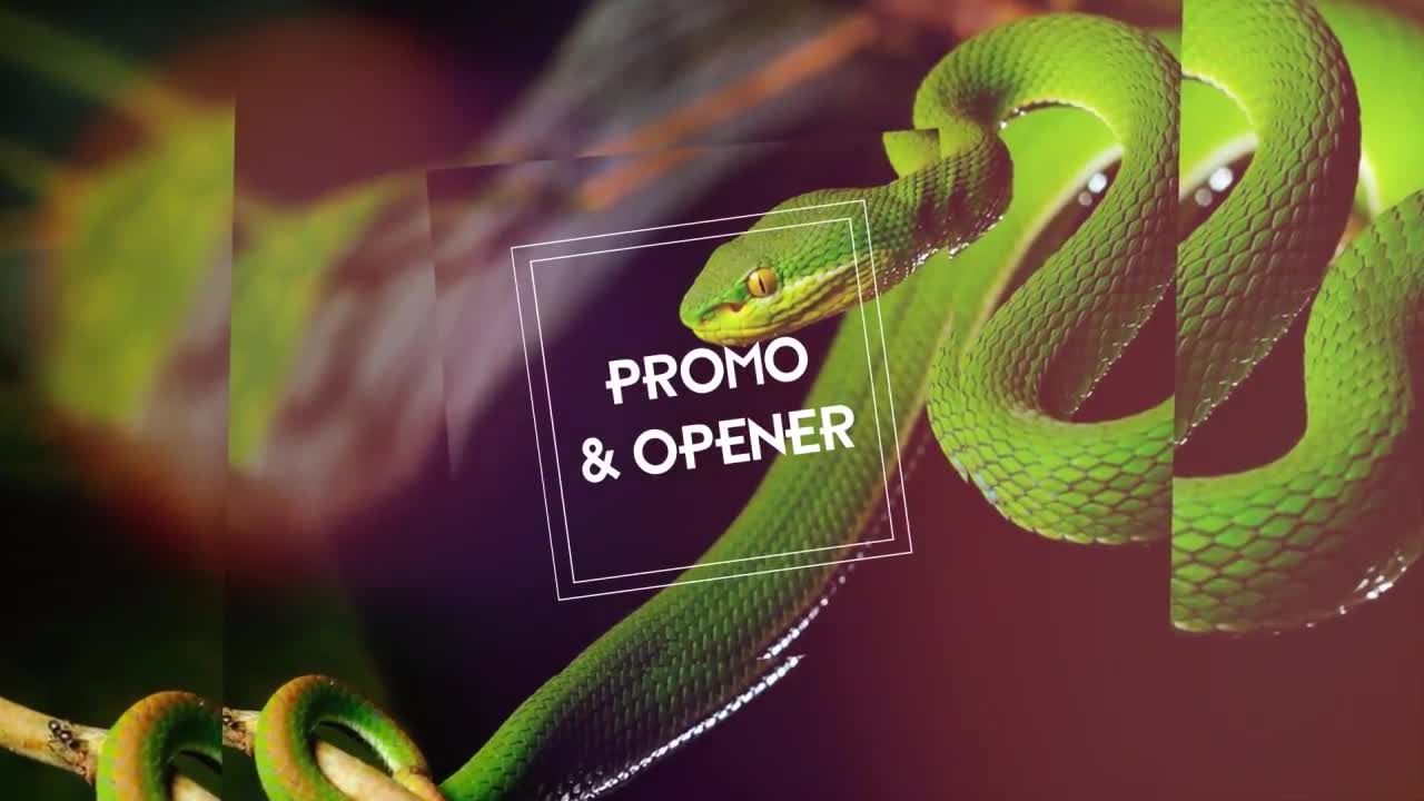 精美现代的幻灯片素材库精选AE模板