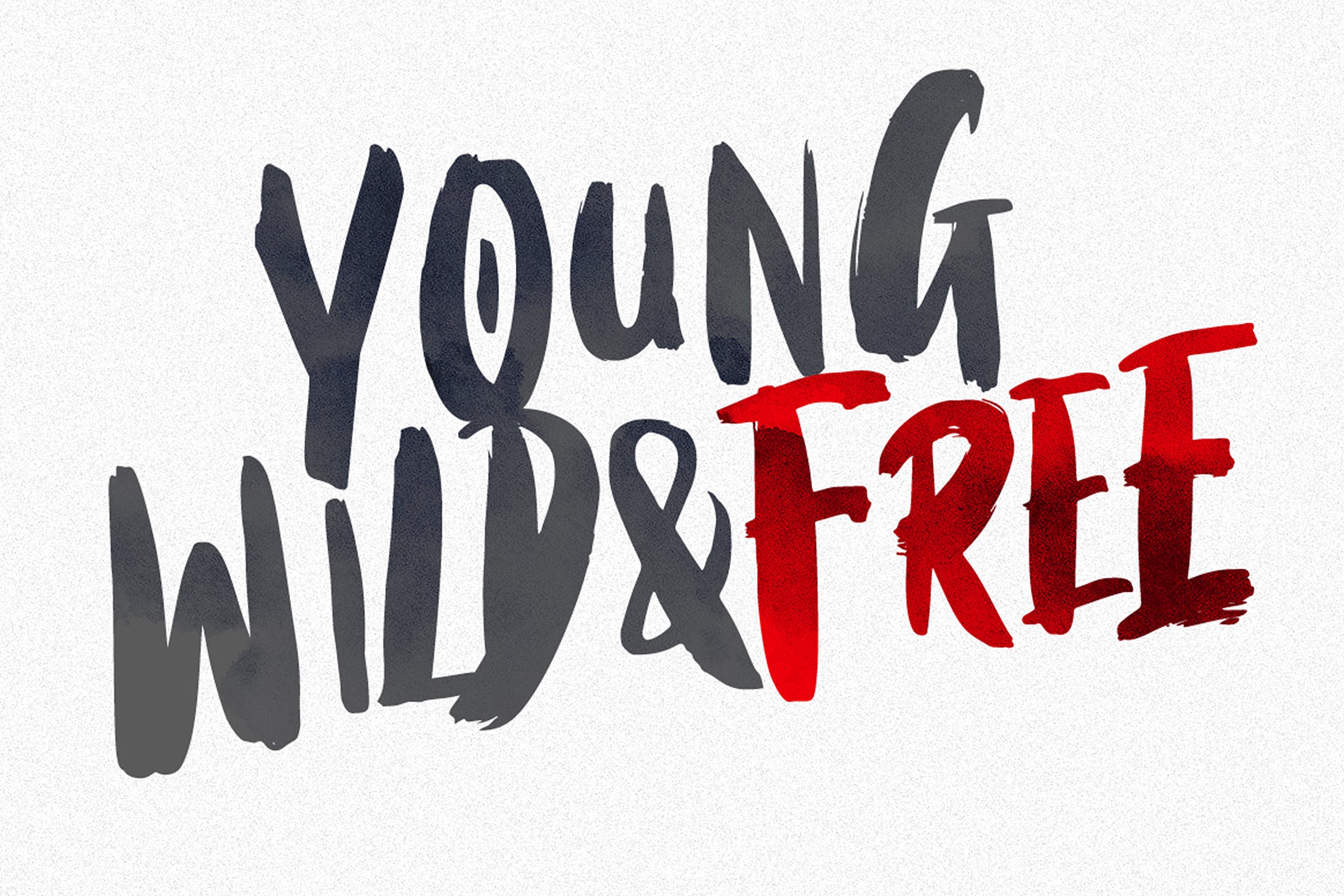 英文干笔刷画笔字体 Black Torch – Dry Brush Font插图