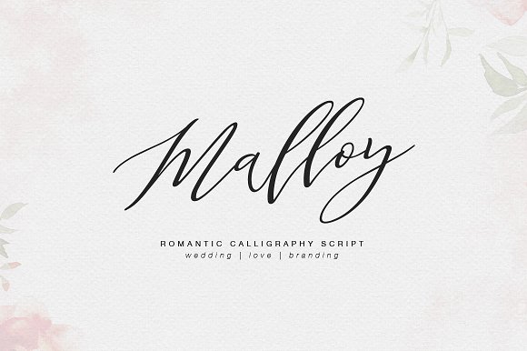 Malloy Font插图