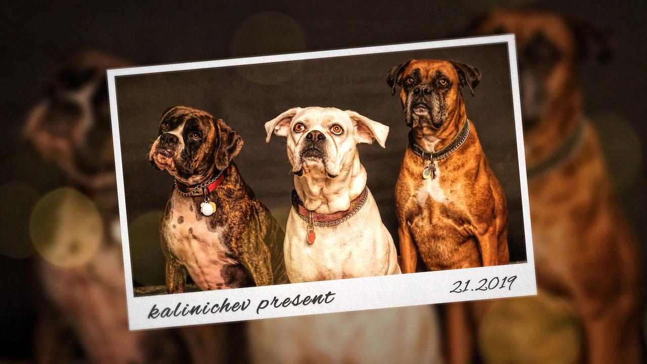 摄影师动态相机镜头幻灯片素材库精选AE模板