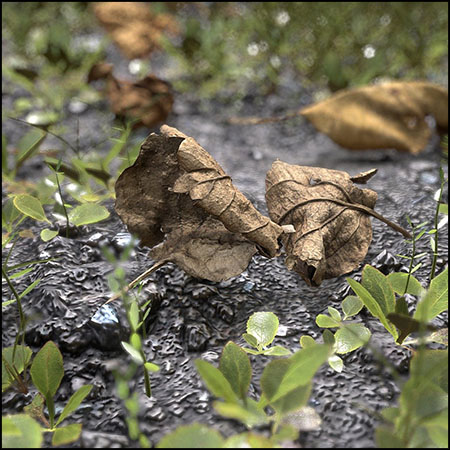 花园里的叶子FBX格式素材之家精选3D模型